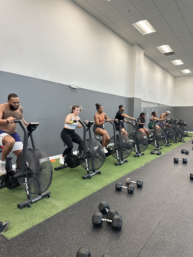  ShipWreck Performance