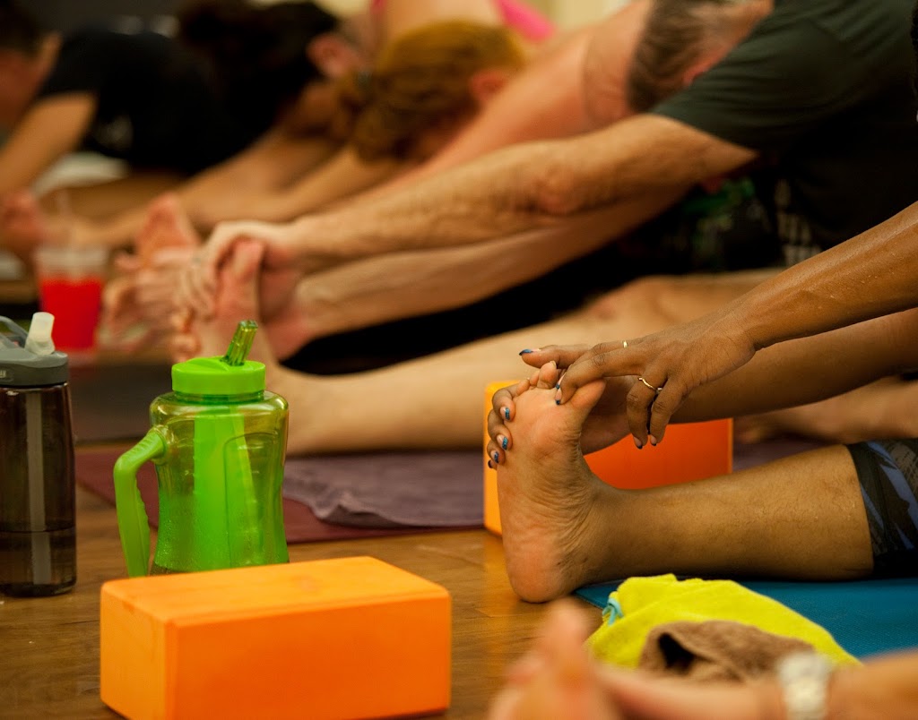  SHINE Power Yoga Maple Shade