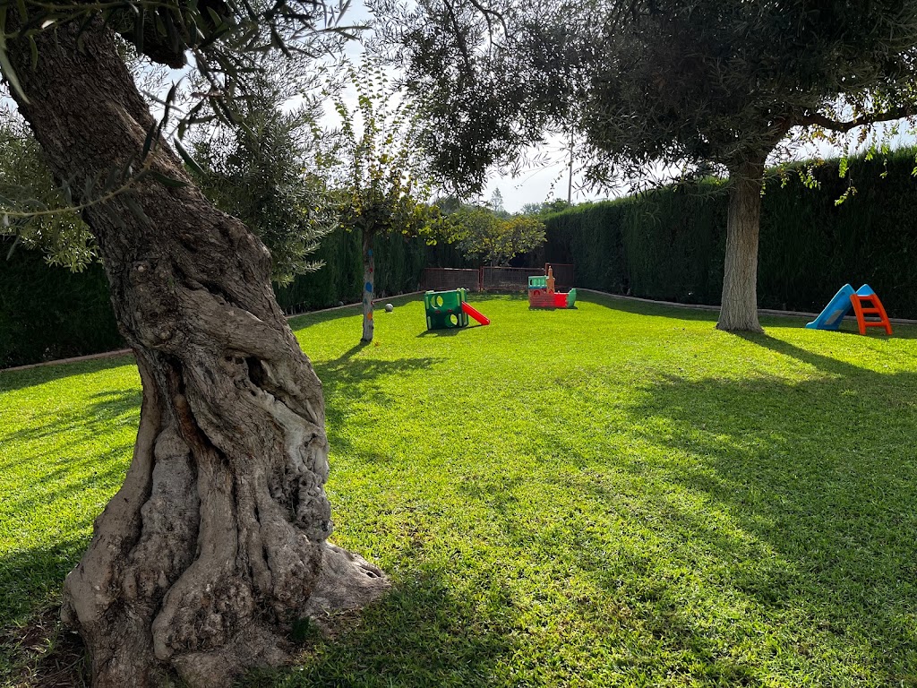 Centro de Educacion Infantil PLATERO — Del propietario