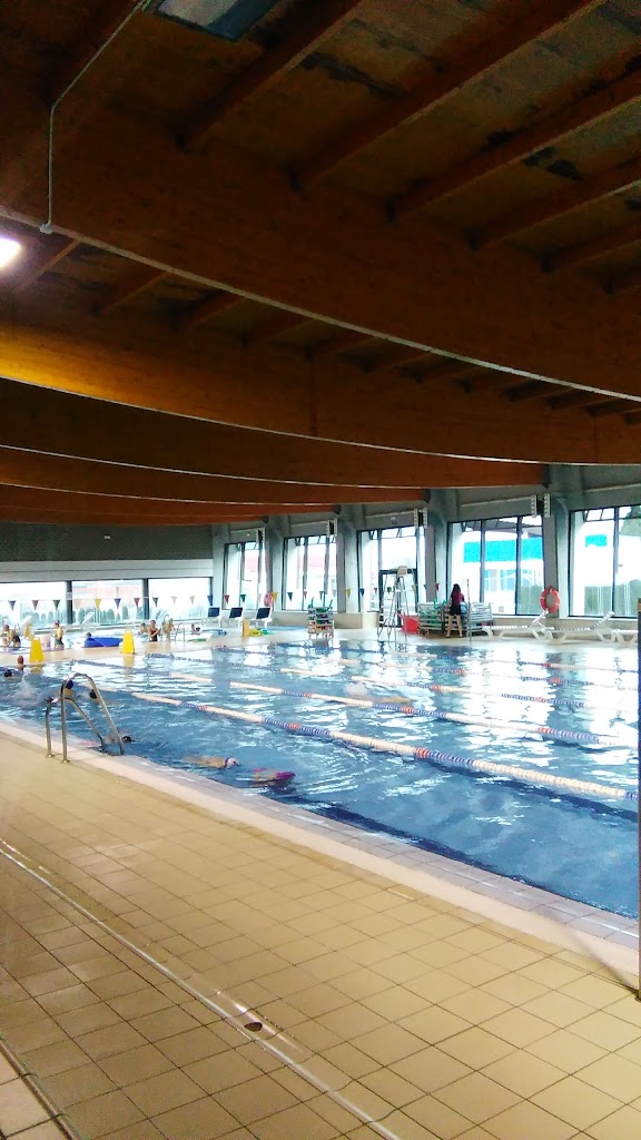 PISCINA CLIMATIZADA DE DAIMIEL