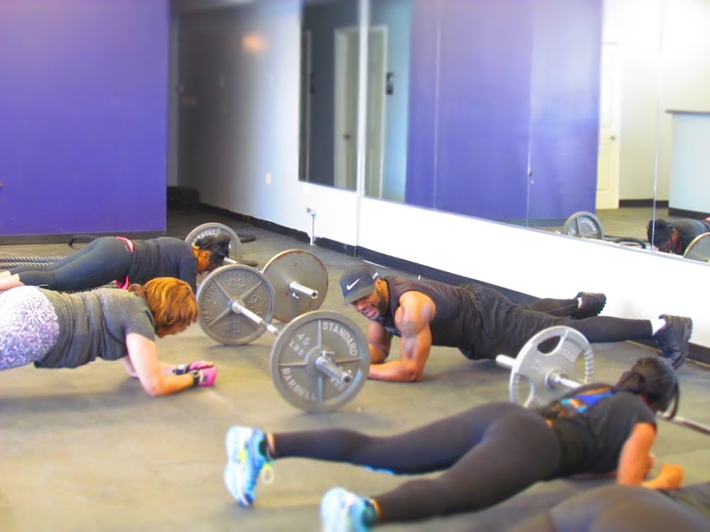  Sculpt And Shred Fitness