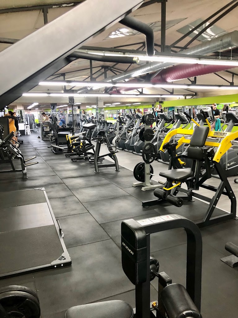 Fit-Plus — Gimnasio