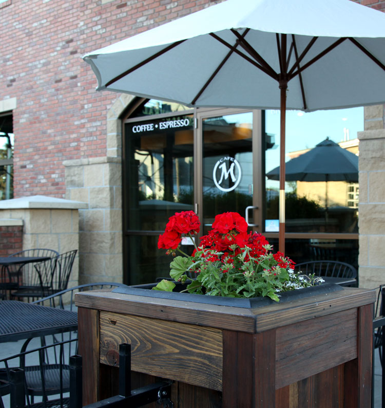 Photo of Cafe M