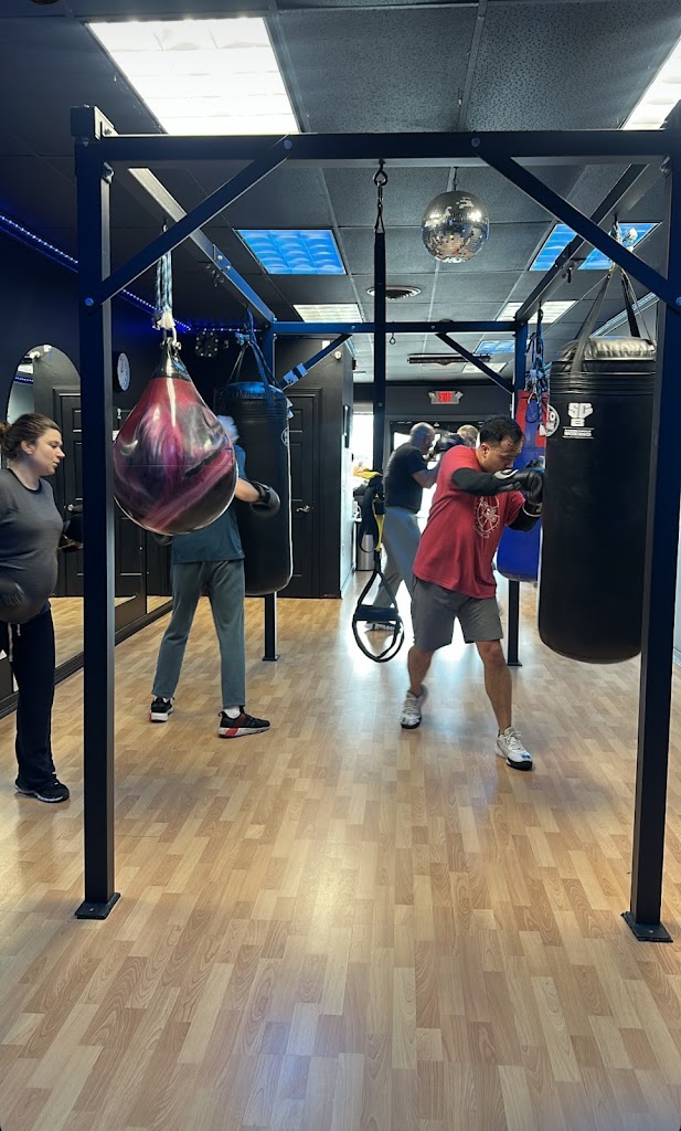 Square Circle Boxing