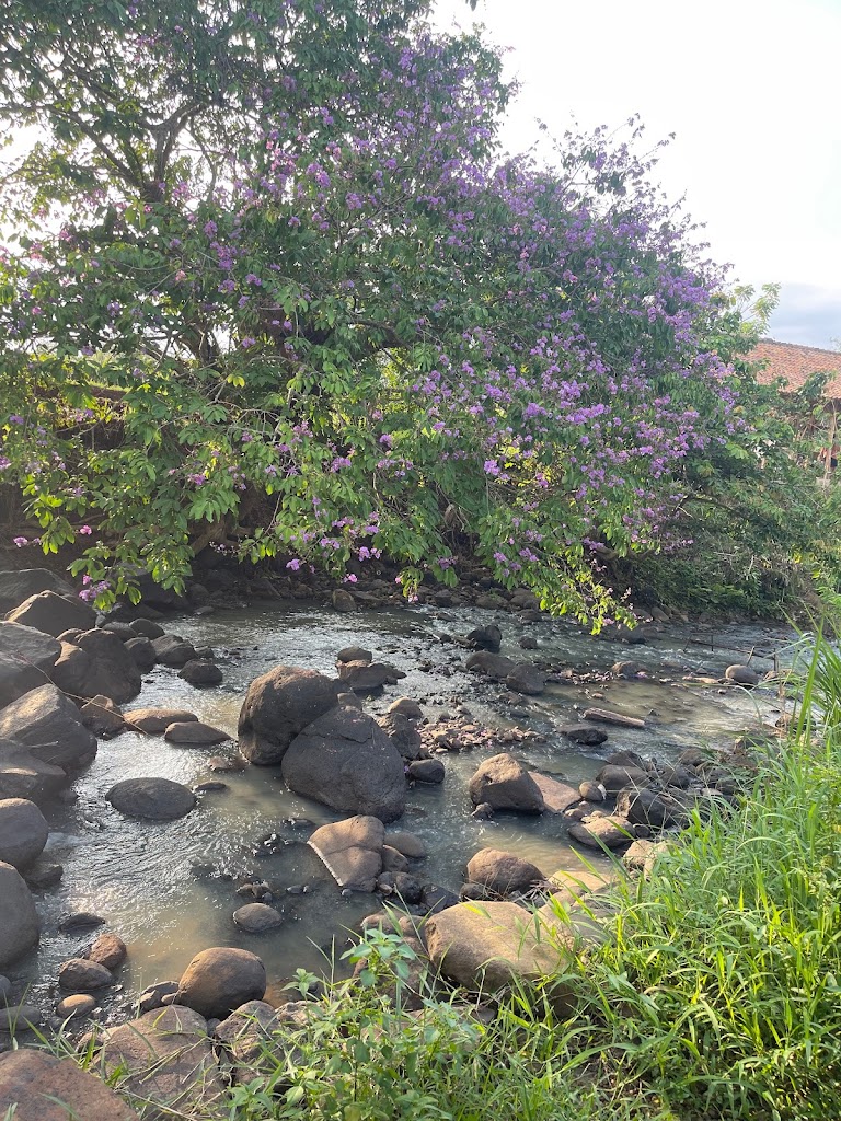 Legok Cau Riverside ( Campsite )