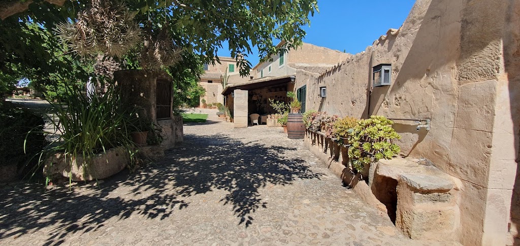 Check in Sa Torre (Arrivals)