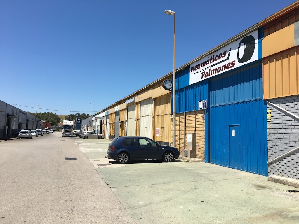 Neumaticos Palmones