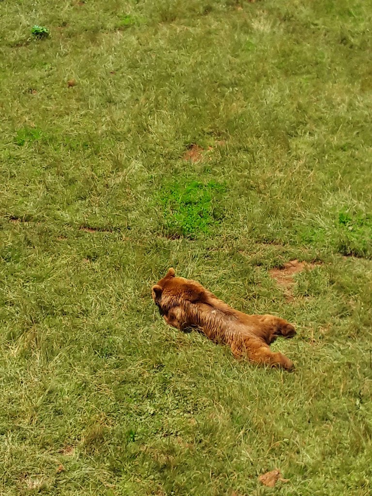 Residencia privada de ancianos "Atardecer"