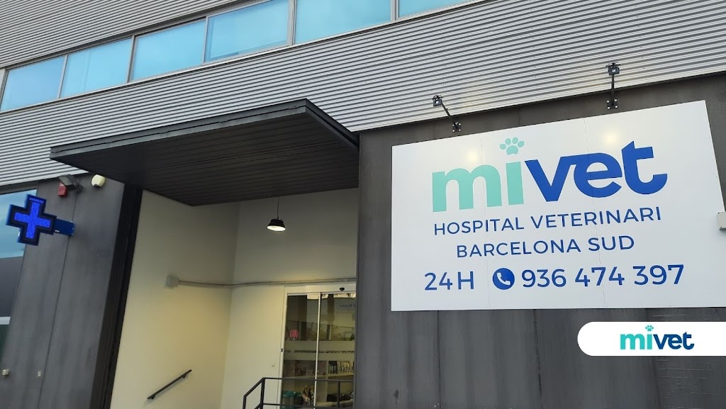 Hospital Veterinari Barcelona Sud | MiVet