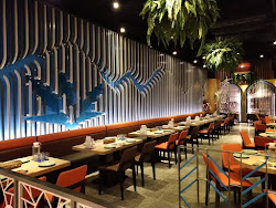 6450d31f1a953bb0a415e56d 的照片