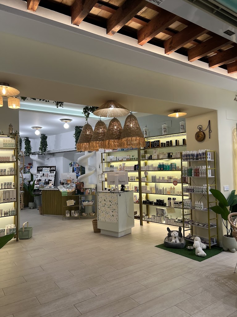 LA FARMACIA DE MOLINA