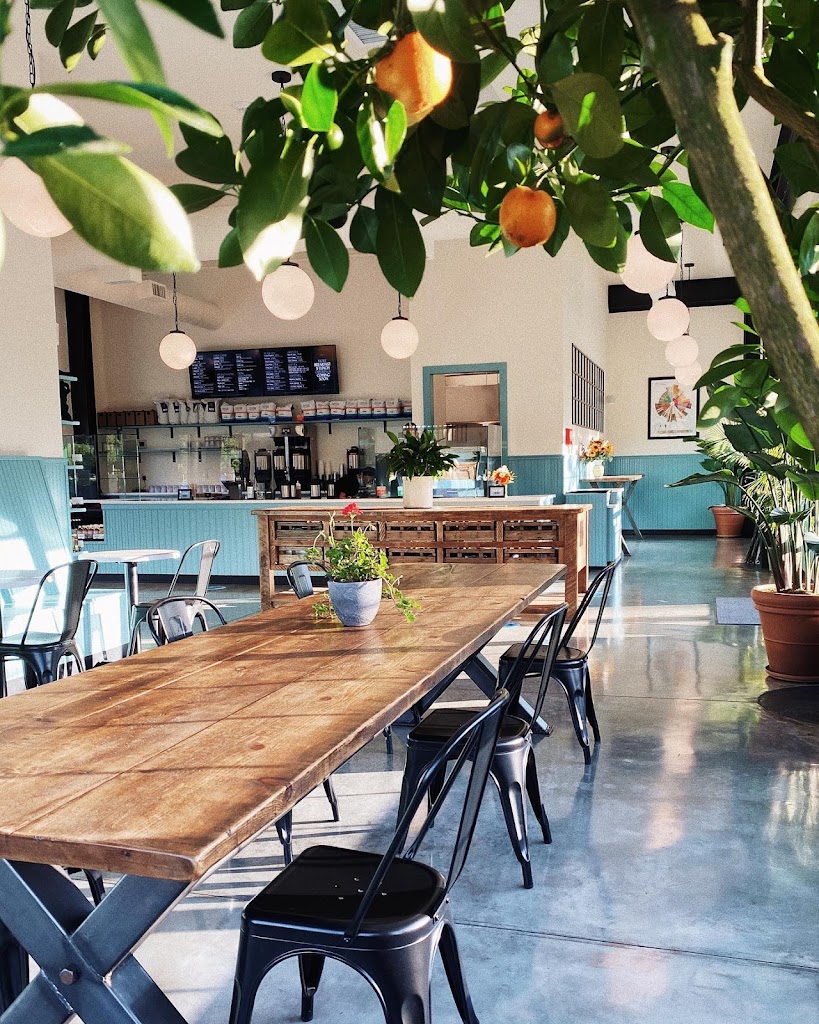 Photo of Druthers Coffee