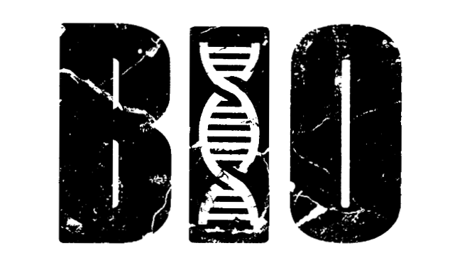  BIO Community Fitness