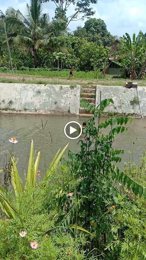 Bumi Perkemahan Way Lima Bronjong