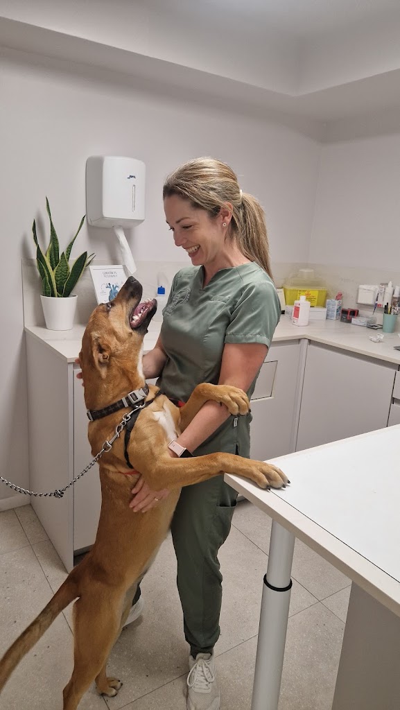 Clinica Veterinaria Sant Marc