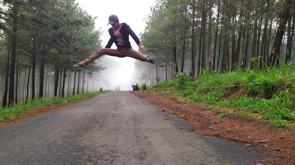 BUKIT TUNGGAR WISATA ALAM HUTAN PINUS SAWOO PONOROGO