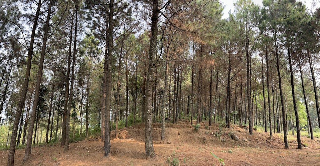 Pendakian Puthuk sempu