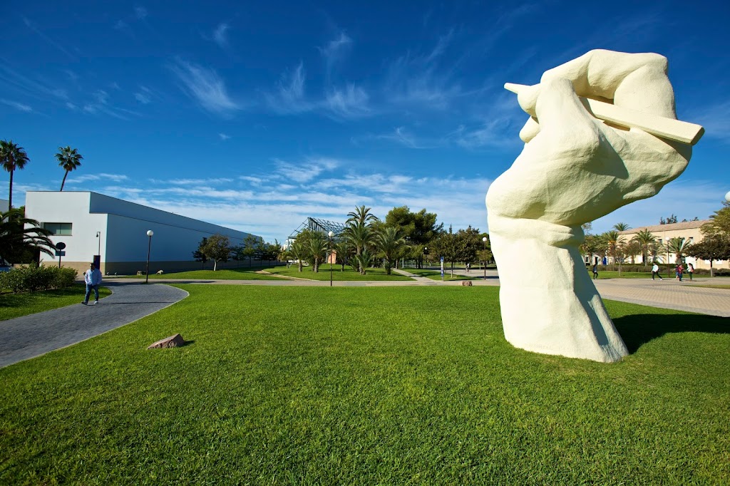 Centro Superior de Idiomas de la Universidad de Alicante