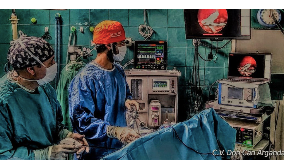 Clinica Veterinaria Don Can