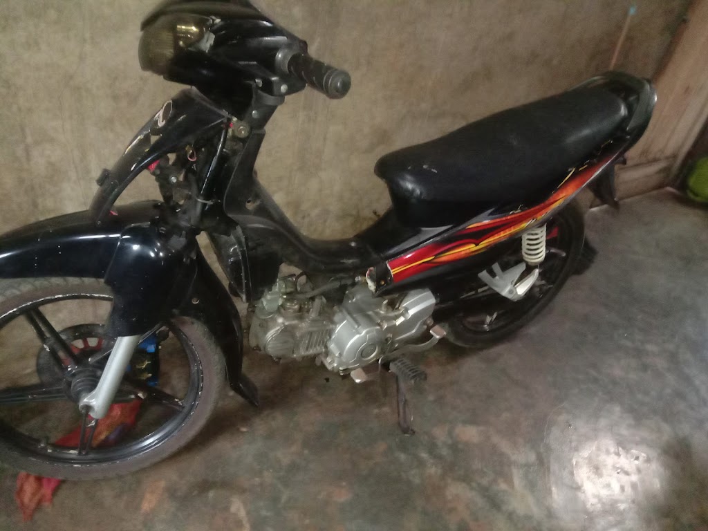 BMS 51