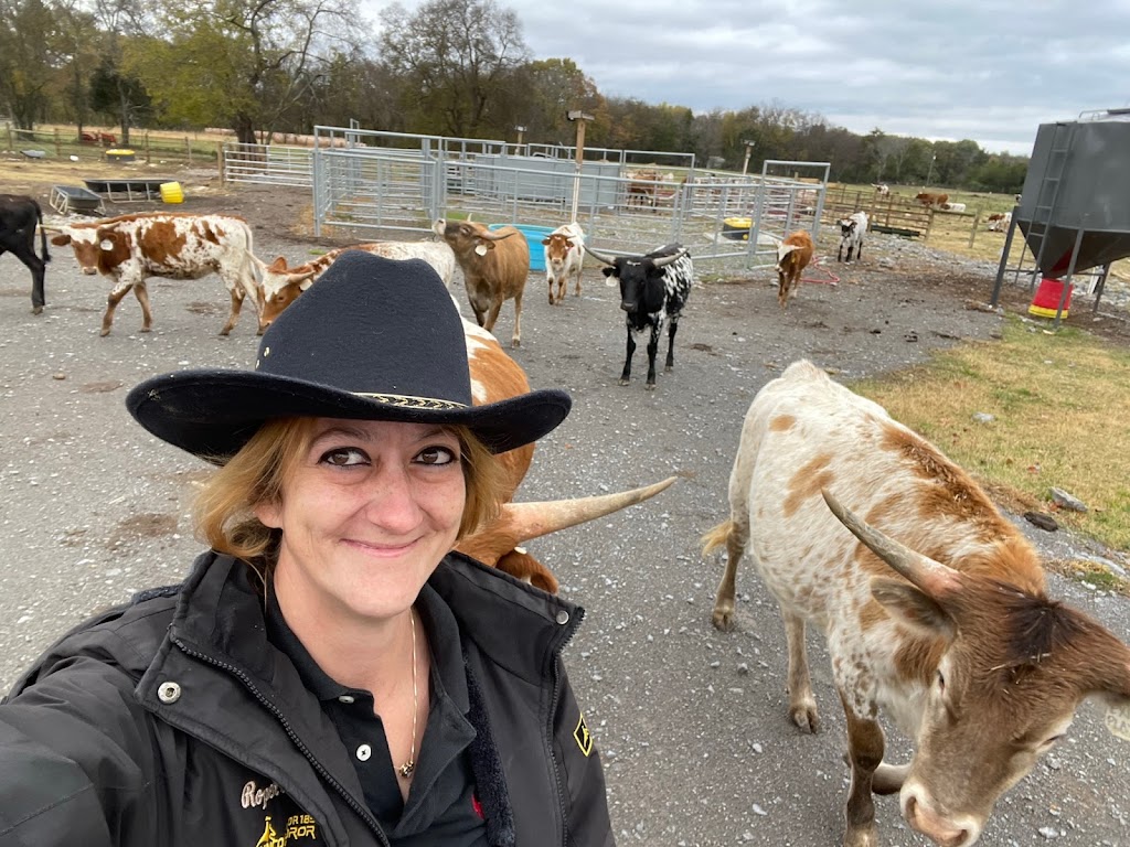 Cattle