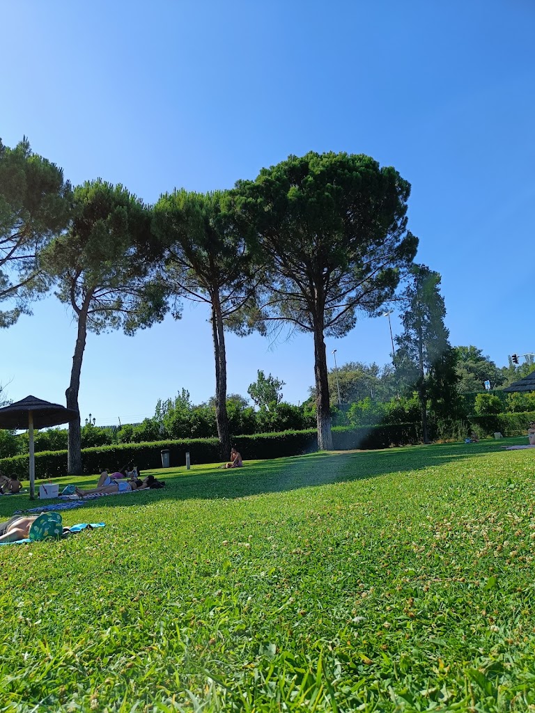 Piscina Boadilla
