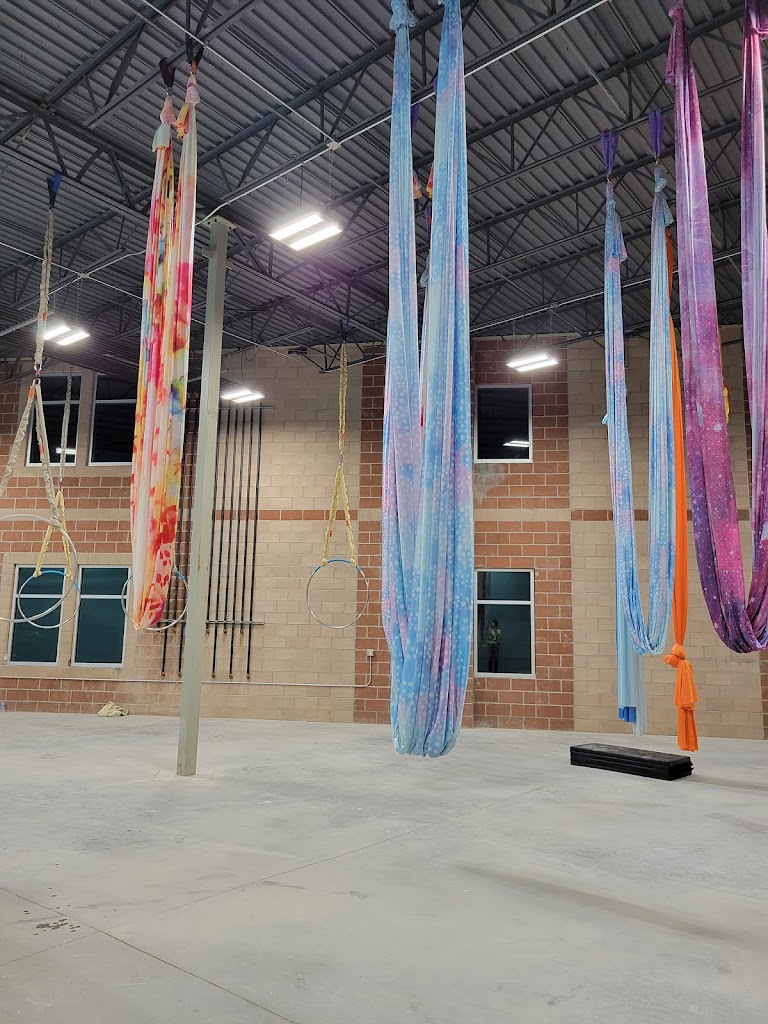  Skyfall Aerial Arts Studio, LLC