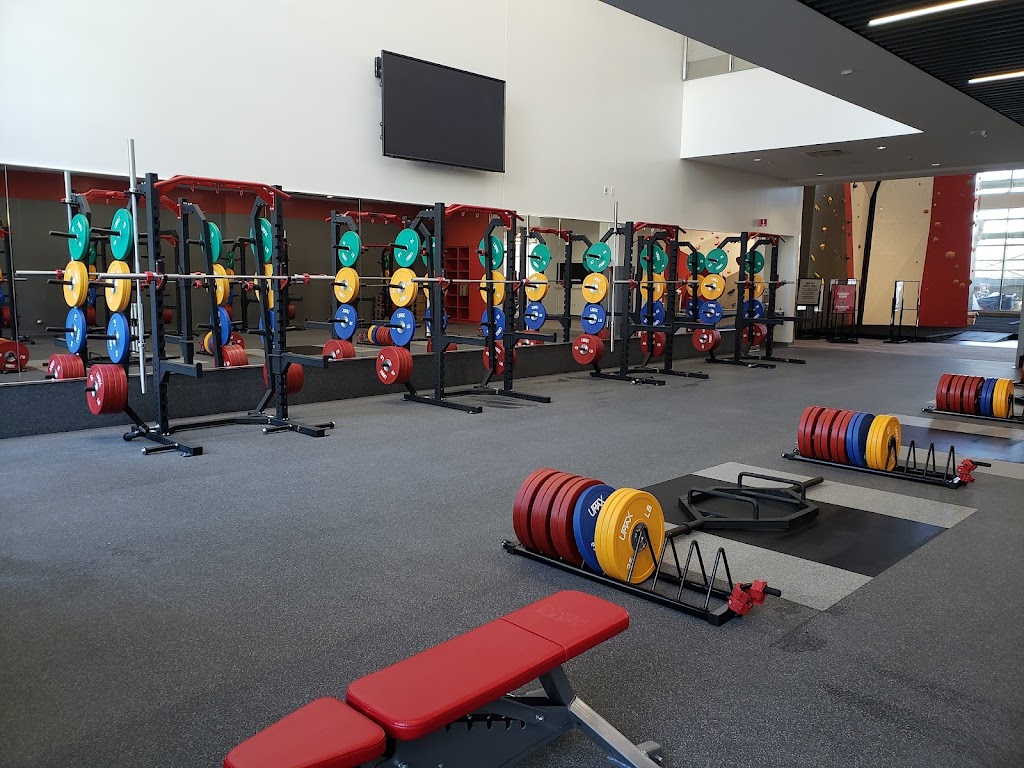  Anthony Sawh Fitness