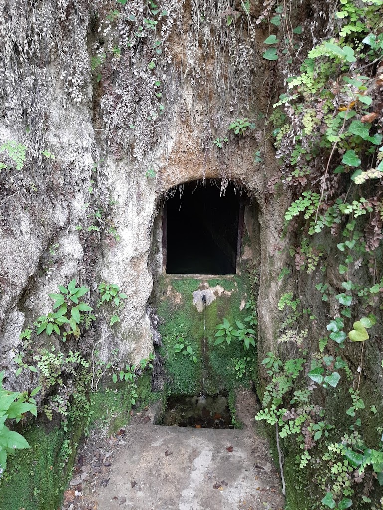 Cava de la falaguera
