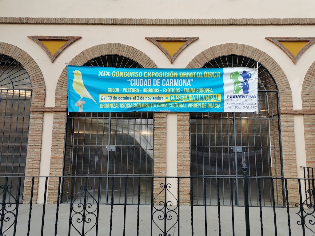 Bar CASETA MUNICIPAL