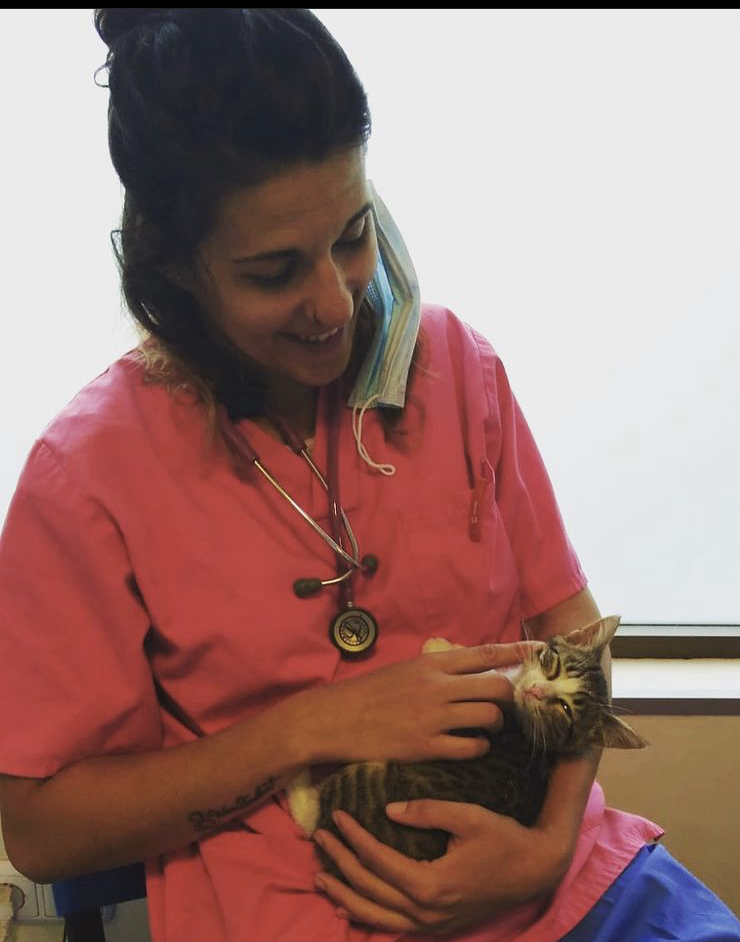 Clinica Veterinaria Elu — Del propietario