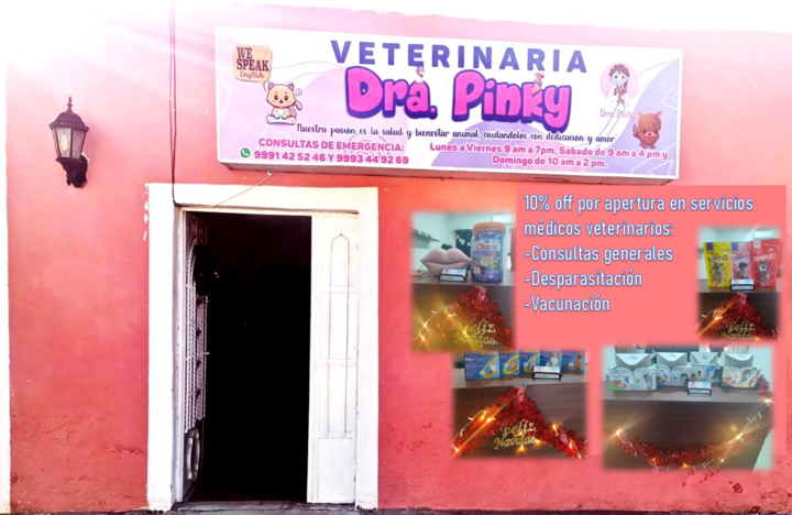 Veterinaria Dra Pinky — Del propietario