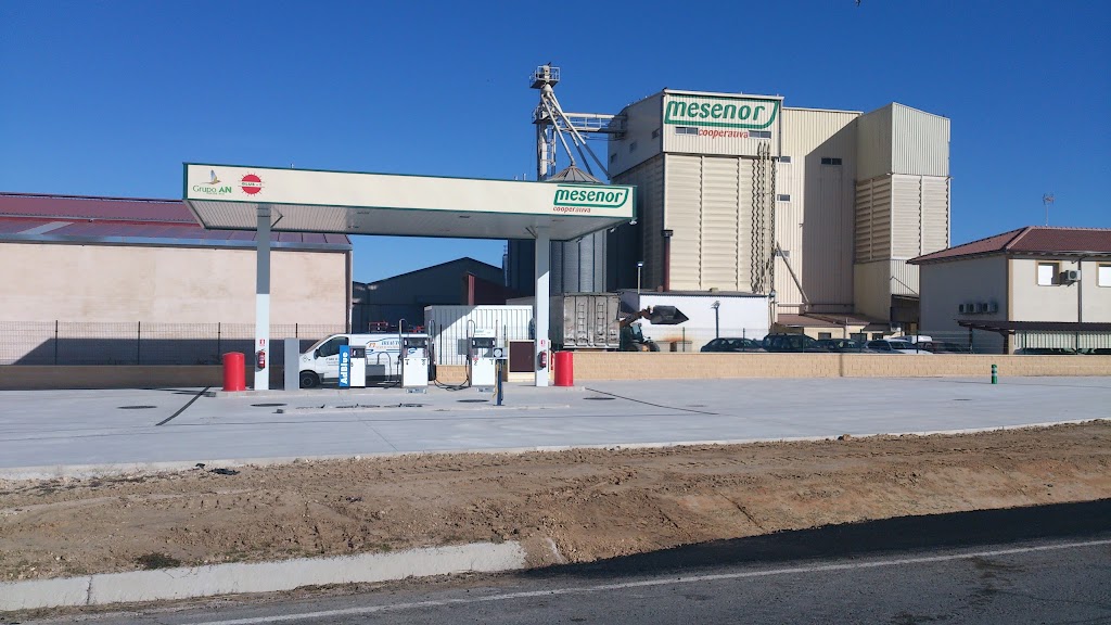 AN Energeticos - Carbonero El Mayor — Estacion de servicio