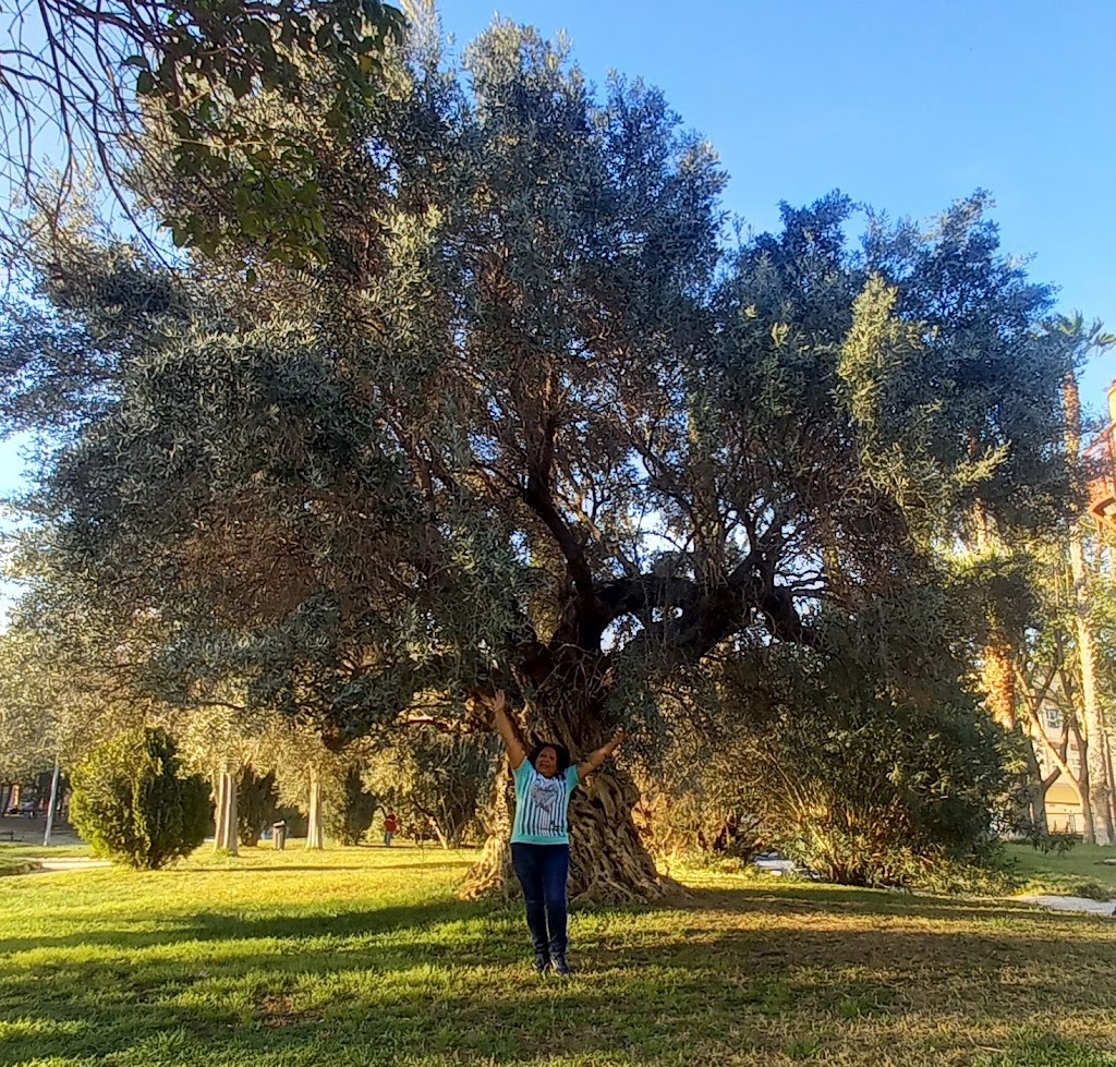 Parque Principe de Asturias