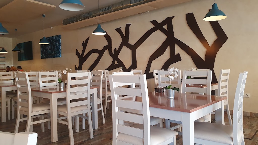 Baraka Cafe Bar — Ambiente