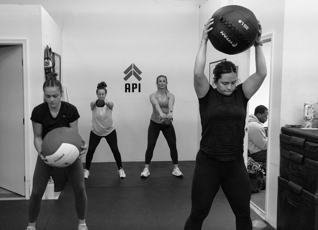  Alpha Performance Institute