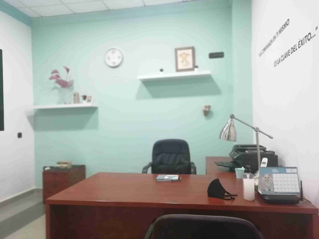 Centro de estudios Trending Topic — Del propietario