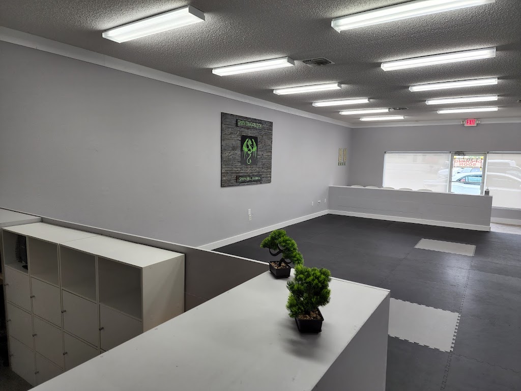  Green Dragon Dojo