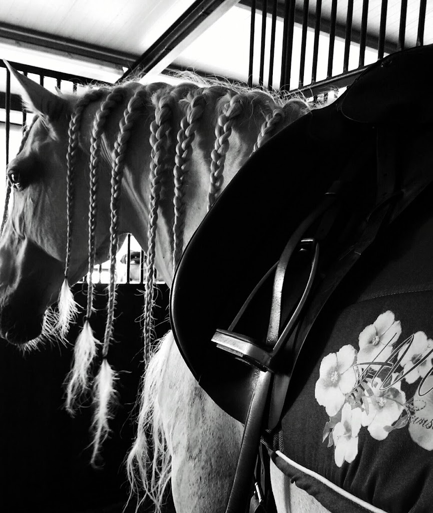 Club Equitacio Manacor