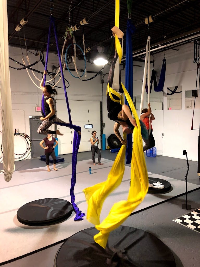  Cirque Wonderland Studios