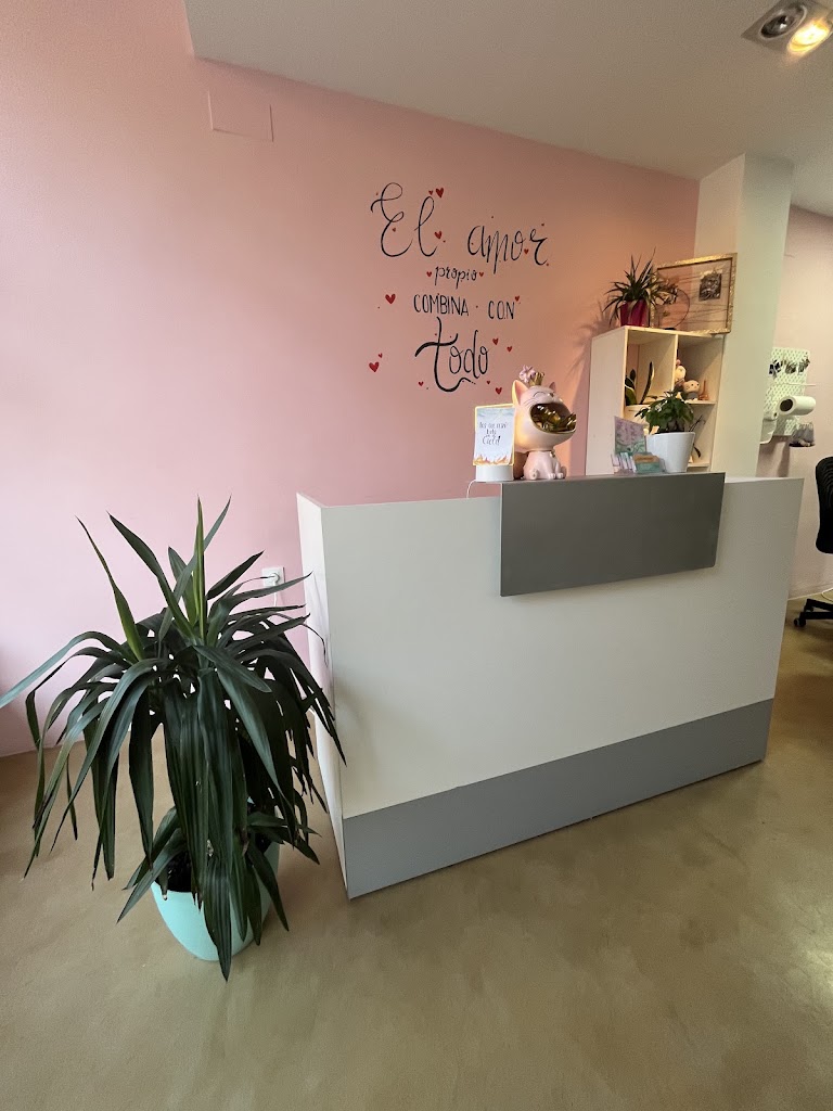 Estetica Velvet — Interior