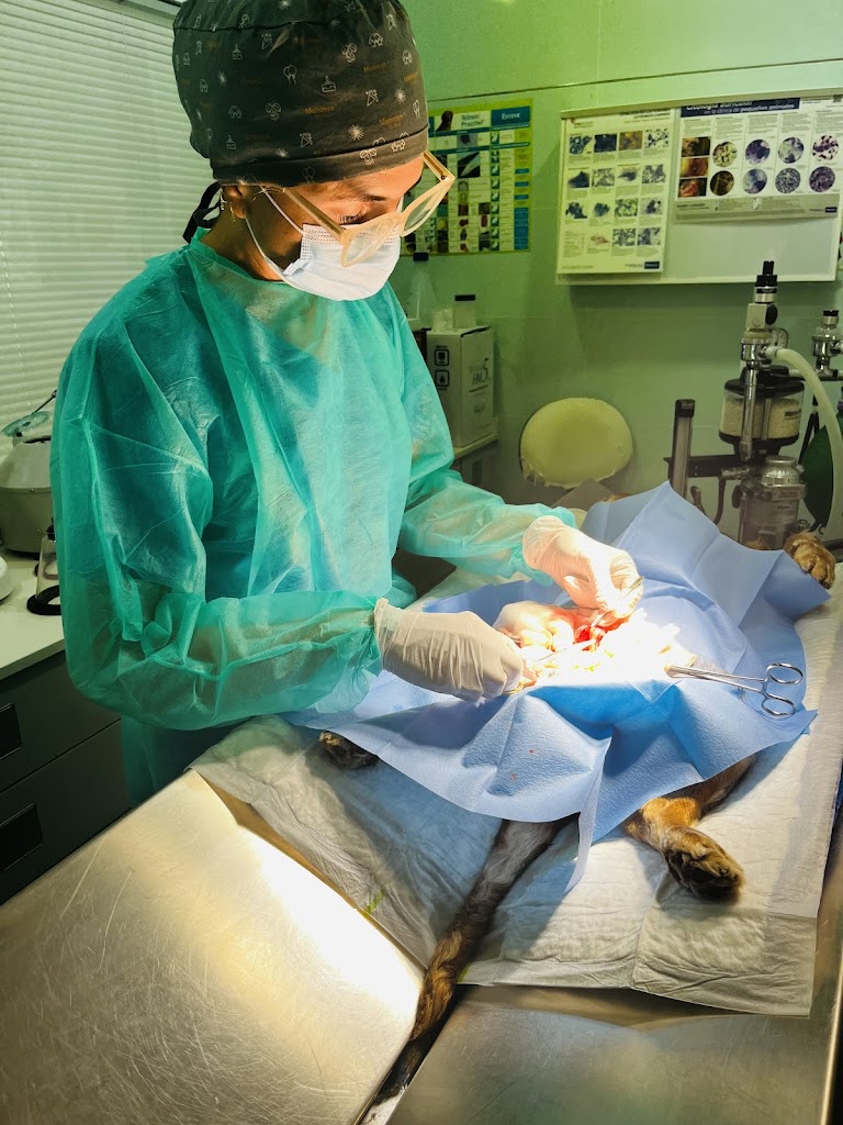 Clinica Veterinaria Cuatro Patas