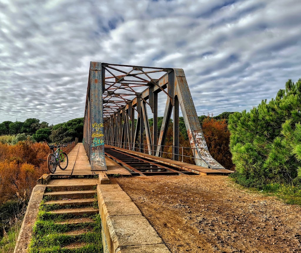 Puente De La Tavirona