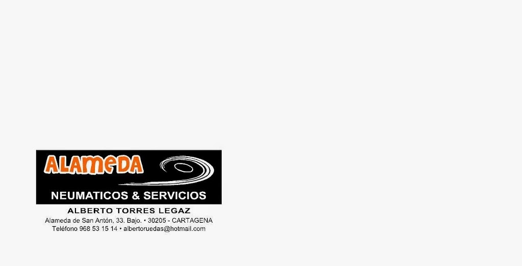 NEUMATICOS Y SERVICIOS ALAMEDA — Del propietario