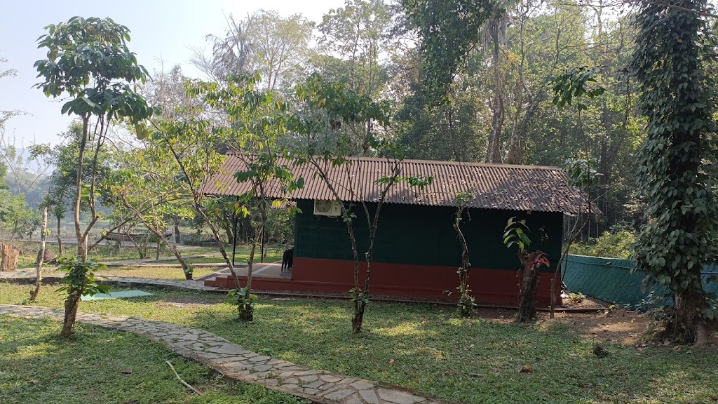The Nest Resort Thattekad
