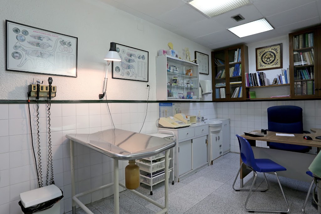 Clinica Veterinaria Badalona — Del propietario