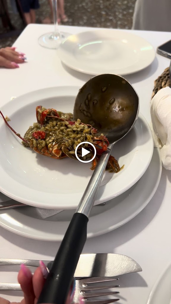 ALFREDO RESTAURANTE — Videos