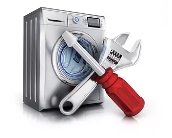 Recanvis i reparacions d'electrodomestics Roig