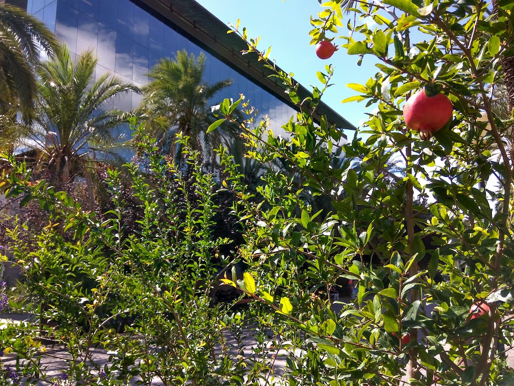 DT de Educacion, Investigacion, Cultura y Deporte