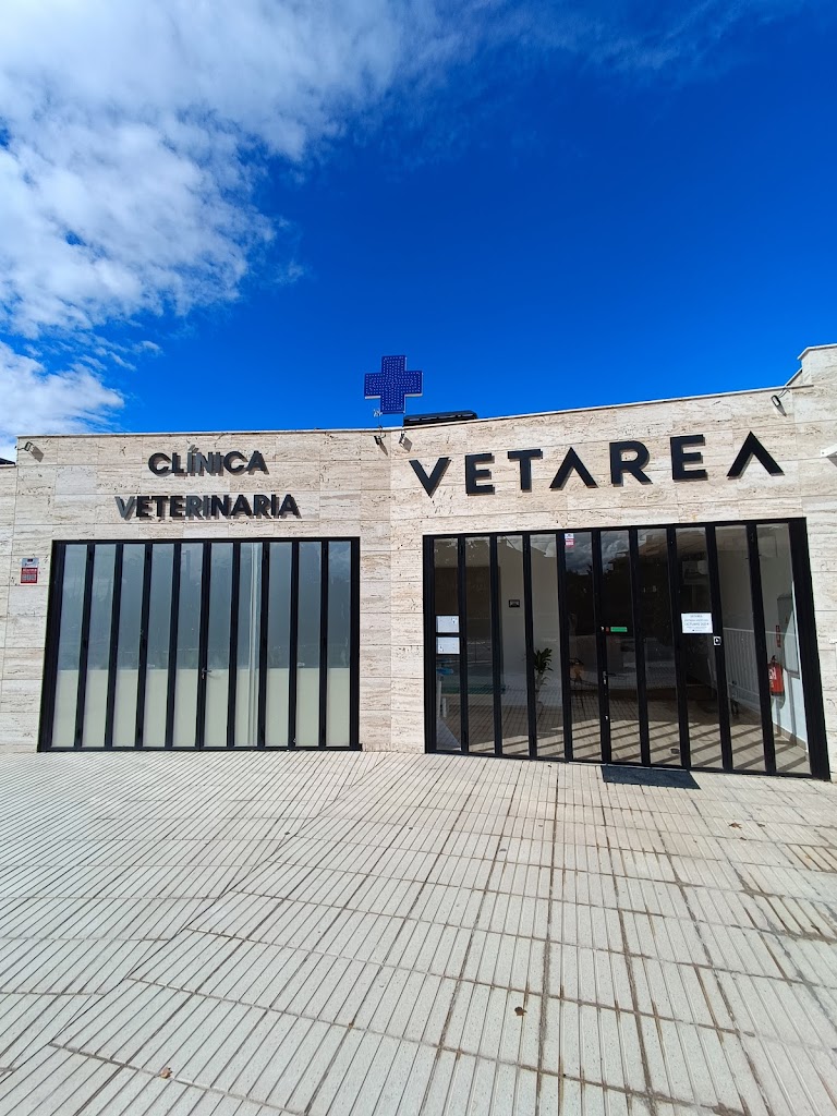 VETAREA Clinica Veterinaria
